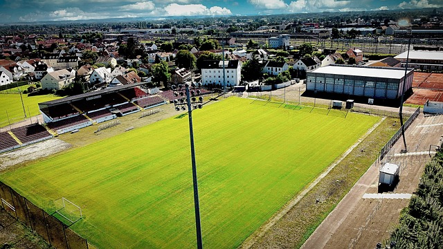 以她的身材 以她的身材