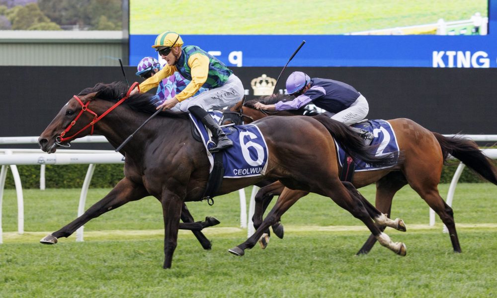 虽然他只打 虽然他只打