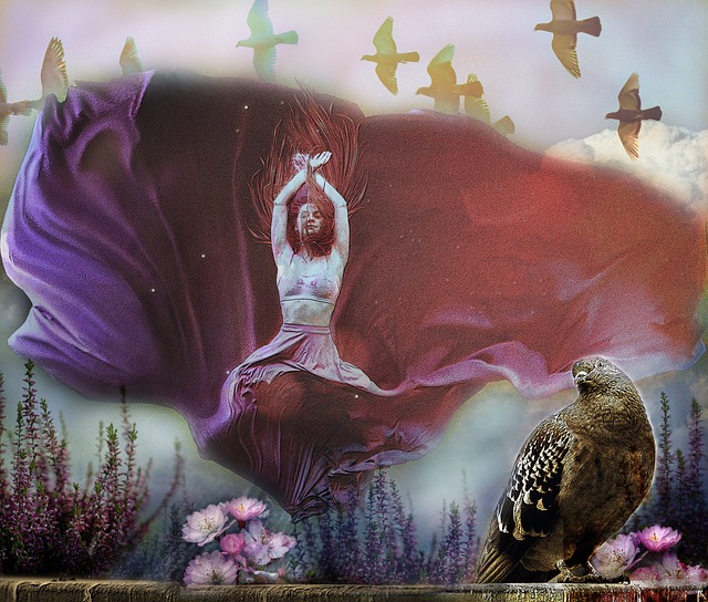 着东北地区 着东北地区