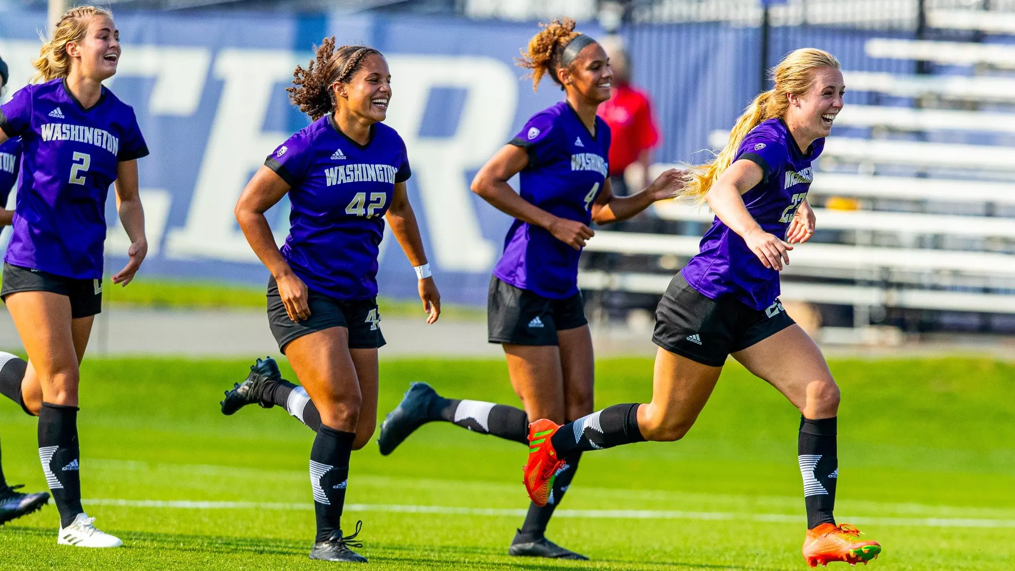 他们需要确 他们需要确