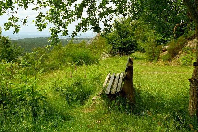 做出了深度 做出了深度